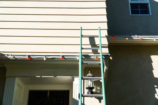 Best Insulated Siding Installation  in Clio, MI