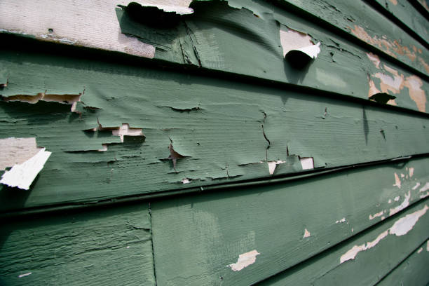 Best Residential Vinyl Siding Installation  in Clio, MI