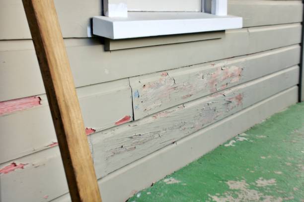 Trusted Clio, MI Siding Installation & Repair Experts